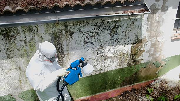 Top rated local Mold Remediation specialists in Bryn Mawr-Skyway, WA